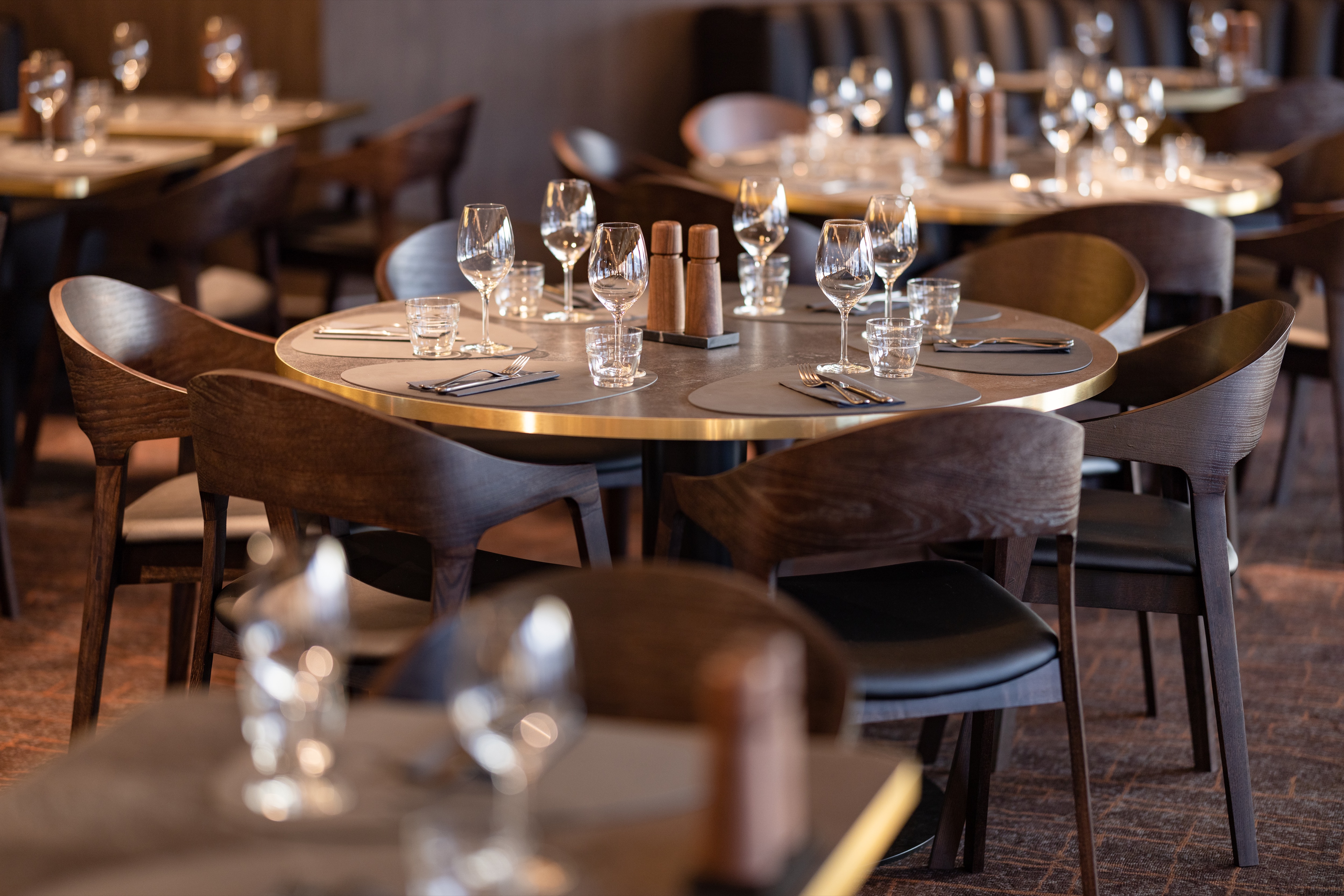 MS Trollfjord - Brasserie Árran